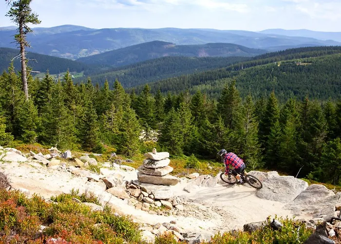 Apartment Czarna Gora 320 3*